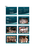 세계적인 축제 문화-일본 `하다카마츠리` 축제 연구-3