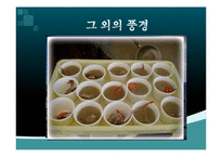 세계적인 축제 문화-일본 `하다카마츠리` 축제 연구-13