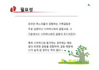 [사회복지] 다문화 가정 내 고부갈등 해결을 위한 프로그램 개발-3