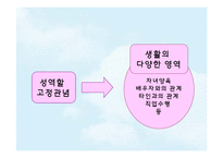 성인기의 성역할-5