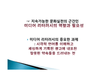 지속 가능한 문화 확산과 미디어의 역할-13