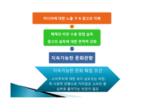 지속 가능한 문화 확산과 미디어의 역할-16