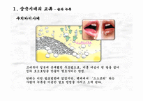 [국제관계] 한국, 일본의 음식문화교류사-3