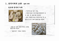 [국제관계] 한국, 일본의 음식문화교류사-5