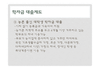 [복지국가론] 우리나라 대학교육의 문제점과 해결방안-스웨덴과 핀란드의 교육과의 비교 중심-12