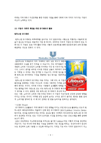 [국제경영] Unilever 사회적 책임 사례 분석-9