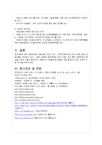 [국내개발론] 테마파크 국내외 성공 및 실패 사례-19