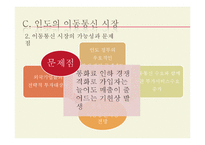 [국제경제] 인도시장 분석 및 우리나라 기업의 진출 전략-10