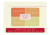 [국제경제] 인도시장 분석 및 우리나라 기업의 진출 전략-14