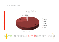 포털사이트 NATE의 부진과 마케팅 전략-2