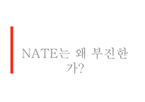 포털사이트 NATE의 부진과 마케팅 전략-3
