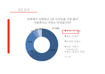 포털사이트 NATE의 부진과 마케팅 전략-5
