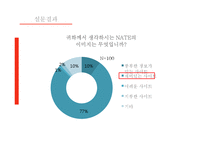포털사이트 NATE의 부진과 마케팅 전략-10