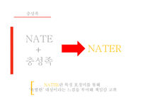 포털사이트 NATE의 부진과 마케팅 전략-18