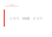 포털사이트 NATE의 부진과 마케팅 전략-20