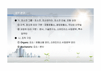 [투자론] 포스코의 해외직접투자 FDI분석 및 미래 전망-17