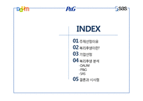 [경영학] 국내 기업, 해외 기업, 외국계 기업의 복리후생 비교 분석-DAUM. P&G, SAS-2