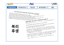 [경영학] 국내 기업, 해외 기업, 외국계 기업의 복리후생 비교 분석-DAUM. P&G, SAS-3