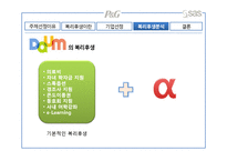 [경영학] 국내 기업, 해외 기업, 외국계 기업의 복리후생 비교 분석-DAUM. P&G, SAS-11