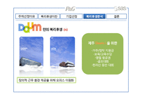 [경영학] 국내 기업, 해외 기업, 외국계 기업의 복리후생 비교 분석-DAUM. P&G, SAS-14