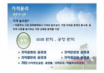 [마케팅 윤리] 제품, 가격, 유통, 광고 윤리 개념 및 사례-11