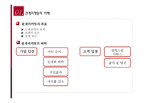 [경영학] 관계마케팅의 이해와 성공, 실패 사례-4