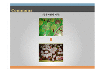 [경제학] 공공재와 공유자원-17