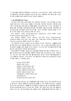 [신학]성경사례를 통한 성경적리더십 분석-15