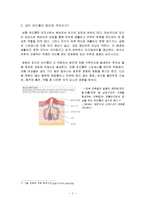 성인 여드름의 정의, 원인, 치료방법, 잘못된 상식, 변화, 특징, 현황, 사례, 효율적인 관리, 역할, 기법, 시사점, 나의견해, 총체적 조사분석-5