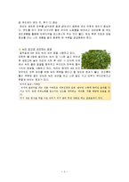 성인 여드름의 정의, 원인, 치료방법, 잘못된 상식, 변화, 특징, 현황, 사례, 효율적인 관리, 역할, 기법, 시사점, 나의견해, 총체적 조사분석-8