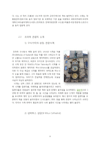 동유럽 국가의 역사, 정의, 종류, 특징, 체코 소개, 체코의 먹거리, 해외 여행중 사고 대처 방법, 장점, 단점, 특징, 현황, 역할, 시사점, 조사분석-6