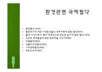 녹색정치의 정의와 현실적용-8