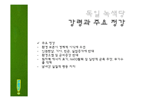 녹색정치의 정의와 현실적용-19