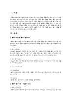 놀이의 이론 중 현대적 놀이이론을 정신분석 이론, 인지발달 이론으로 제시하시오-2