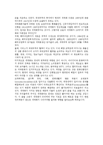 세계화의 양면성, 의미, 장점, 다원화 확대, 국가간 관계 긴밀, 단점, 환경문제, 빈부 격차, 사라지는 문화, 영향, 현황, 흐름, 문제점, 시사점, 나아갈 방향 분석-4