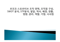 르꼬끄 스포르티브 조직 연혁, 조직원 구성, SWOT 분석, STP분석, 발달, 역사, 배경, 현황, 영향, 관리, 역할, 기법, 시사점-1