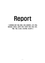 세계화에 대한 개념, 배경, 유래, 발생원인, 시작, 특징, 발생과정, 양면성, 긍정적 측면, 부정적 측면, 전망, 관리, 역할, 기법, 시사점, 나의견해, 조사분석-1