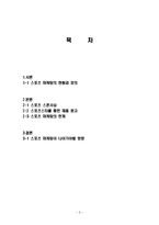 스포츠 마케팅의 현황, 정의, 스폰서십, 스포츠 스타를 통한 제품 광고, 스포츠 마케팅의 한계, 문제점 ,나아가야 할 방향, 특징, 현황, 사례-2