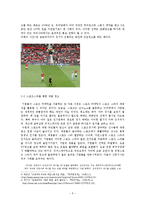 스포츠 마케팅의 현황, 정의, 스폰서십, 스포츠 스타를 통한 제품 광고, 스포츠 마케팅의 한계, 문제점 ,나아가야 할 방향, 특징, 현황, 사례-5