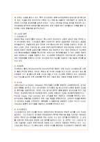 [경영전략] SK에너지의 지속가능경영 분석-6