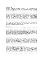 [국제경영] SK에너지의 글로벌경영 분석-9