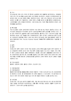 [경영전략] SK에너지의 기업전략 분석과 향후 개선책-2