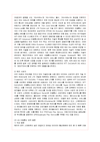 [경영전략] 4G와 엘지유플러스(LG U+)의 전략 분석-5