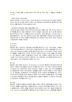 [국제경영] 이마트의 중국 진출 마케팅 분석과 전략적 방안-8