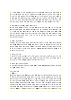[경영전략] 대형할인점 이마트의 현 문제점과 개선책-3