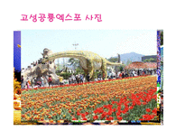 고성 공룡 엑스포 통한 지역개발, 경제적 효과, 성공 요인, 전략, 특징, 중요성, 경제 개발사례, 유래, 전략, 현황, 사례, 관리, 역할-5