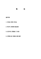 간판의 역사, 유래, 형성원인, 선진국의 간판들, 효과, 간판에 담긴 문화, 경제 발전, 후진성, 특징, 현황, 사례, 관리, 역할, 기법, 시사점, 총체적 조사분석-2