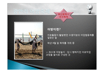 부산 지역 축제의 현황, 종류, 경제적 효과, 등장배경, 성공 요인, 마케팅 전략, 특징, 중요성, 지역경제 개발사례, 유래, 전략, 역할-7