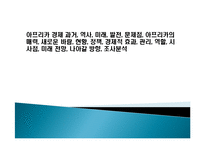 아프리카 경제 과거, 역사, 미래, 발전, 문제점, 아프리카의 매력, 새로운 바람, 현황, 정책, 경제적 효과, 관리, 역할, 시사점, 미래 전망, 나아갈 방향, 조사분석-1