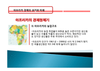 아프리카 경제 과거, 역사, 미래, 발전, 문제점, 아프리카의 매력, 새로운 바람, 현황, 정책, 경제적 효과, 관리, 역할, 시사점, 미래 전망, 나아갈 방향, 조사분석-12